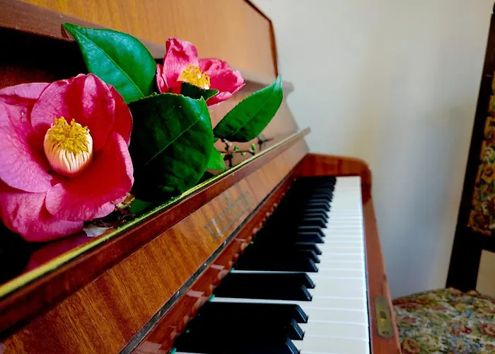 Апартаменты Pianoforte